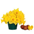Symbols of Spring