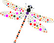 dragon-fly