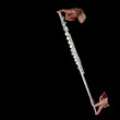 Silver flute Silver flute