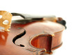 Violin isolated on white. Violin isolated on white.