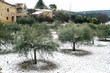Froid Dans Le Sud