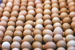 Eier