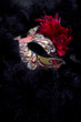 Maskenball