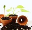 Gartenarbeit