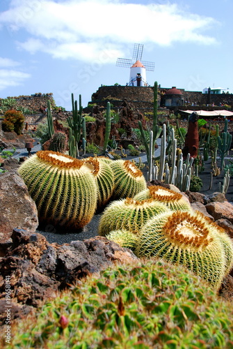 Jardin de Cactus auf Lanzarote Jardin de Cactus auf Lanzarote