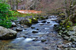 Aira Beck Lake District