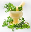 spices and herbs in the pestle on a white background.