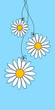 3 Blümchen übereinander
