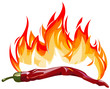 Red hot pepper with flames Red hot pepper with flames