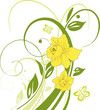 Ostern, Osterglocken, Narzissen, Blume, Blüte, floral