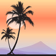 tropical sunset landscape with palms and volcano tropical sunset landscape with palms and volcano