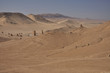 Palmyra desert