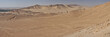 Palmyra desert