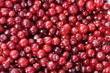frozen cranberry red