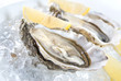 raw oysters with lemon and ice