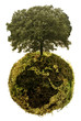 globo verde con albero