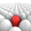 Eggs All Over - And a Single Red One