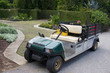 Detaily fotografie Golf auto naložen&eacute; zahradn&iacute;ho n&aacute;řad&iacute; a květiny