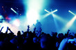 Cheering crowd at concert Cheering crowd at concert