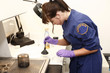 female criminologist dusting an item for fingerprints female criminologist dusting an item for fingerprints