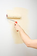 Painting the wall with roller Painting the wall with roller