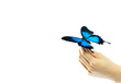 Hand and a butterfly