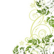 Green floral pattern on white background