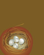 A nest with four white eggs