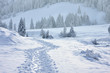 spuren im schnee