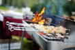 Kabobs grilled with vegetables on metal skewers