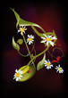 musical note ladybirds and flowers