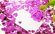 Purple rose and card