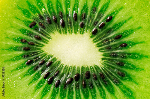 Photo: close up slice of juicy kiwi fruit close up slice of juicy kiwi fruit