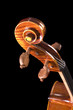 cello on a black background