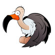geier adler gänsegeier cartoon lustig geier adler gänsegeier cartoon lustig