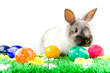 Osterhase