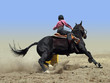Cowgirl Rounding a Drum in the Barrel Race