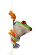 Crazy Frog!