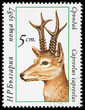 Animal on a postage stamp Animal on a postage stamp