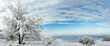 Winter landscape