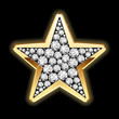 Photo en ligne au meilleur prix Star in diamonds. Detailed vector.