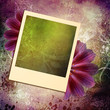 abstract floral background with instant frame