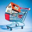 shopping cart and house