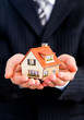 house in a hand