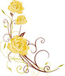 Valentinstag, Valentin, gelbe Rosen, floral, roses