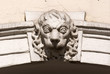 Lion head decoration of building