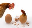 Chicken or Egg