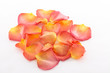 Rosenblätter #2