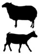 Farm animals