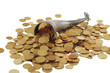 Cornucopia bone full of  gold coin